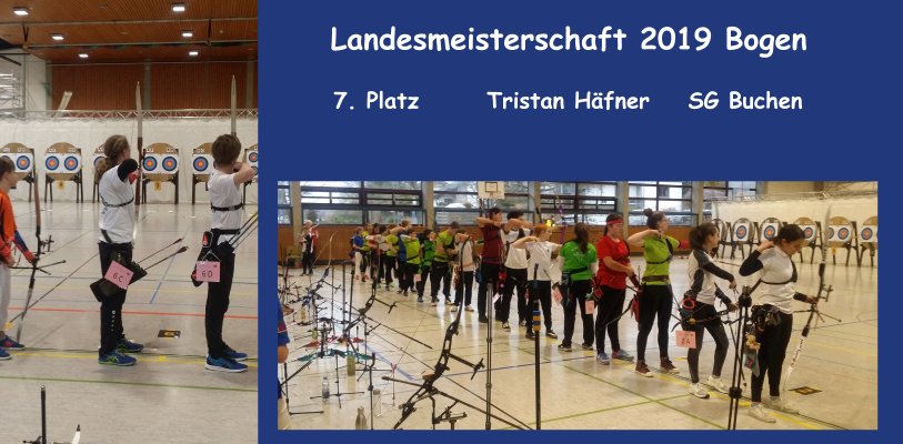 landesmeisterschaft bogen 2019